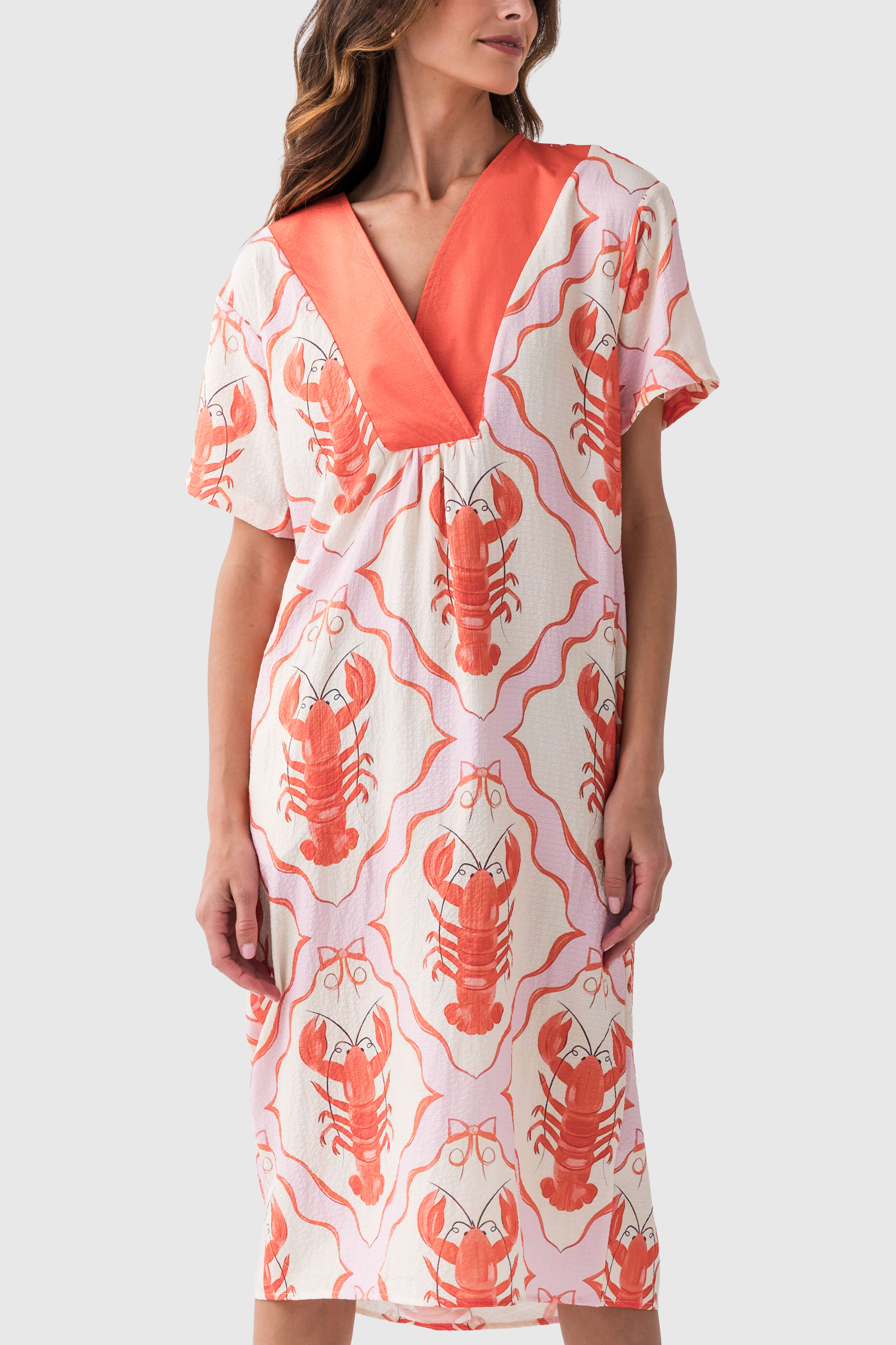 Marine Printed Dress